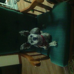 Meet your Posher, Nancy